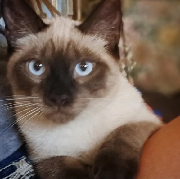 Meet your Posher, Michelle - Picture 11 of 11